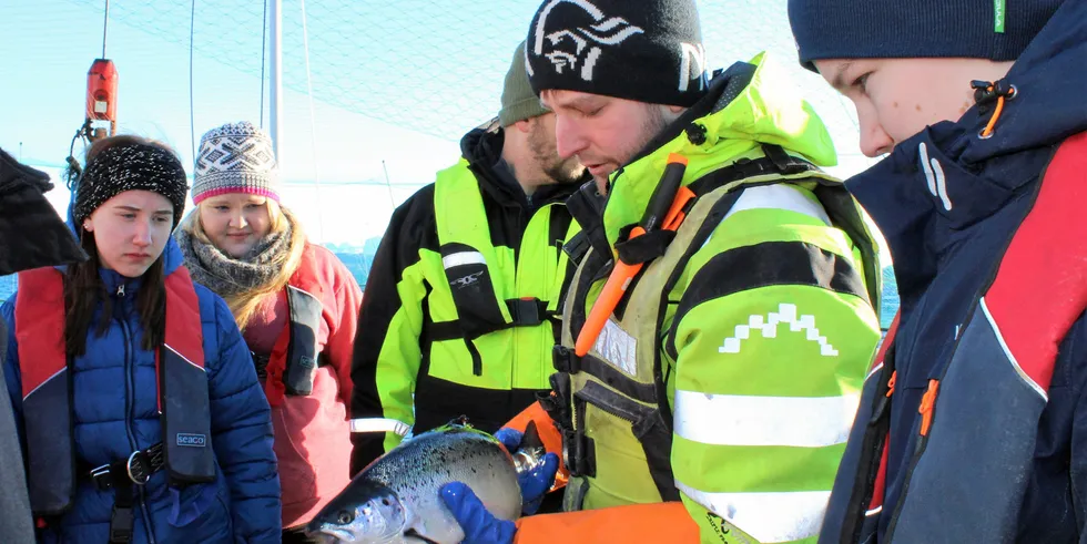 Her får ungdom lære meir om laksen av Håvard Olsen ved Kvarøy lakseoppdrett.