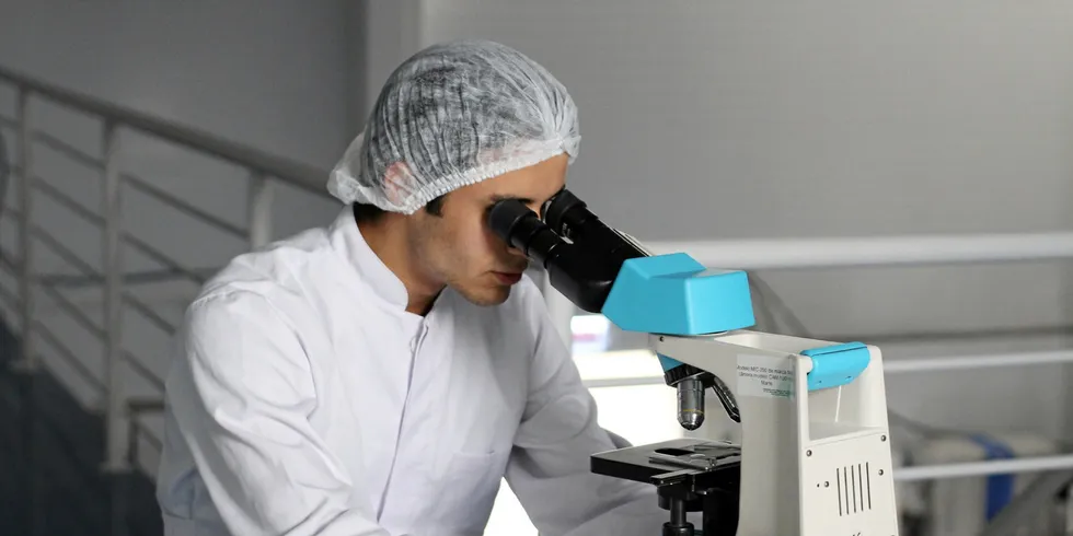A technician examines samples under a microscope. Cell-based seafood -- also called cellular aquaculture -- is becoming of increasing interest to mainstream seafood companies.