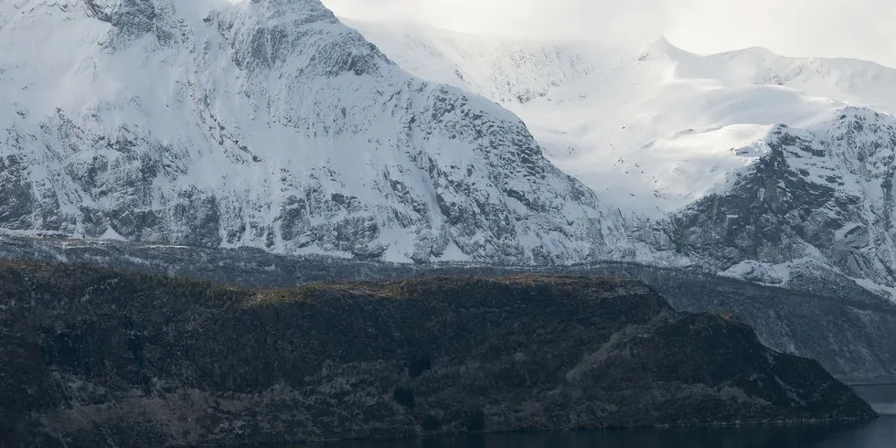 NENT mener det ikke er gjort noen forskningsetiske brudd i forbindelse med konsekvensutredning i Førdefjorden. Arkivfoto: Privat