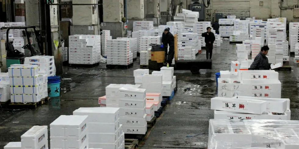 Norsk laks på Tsukiji fiskemarked i Tokyo.