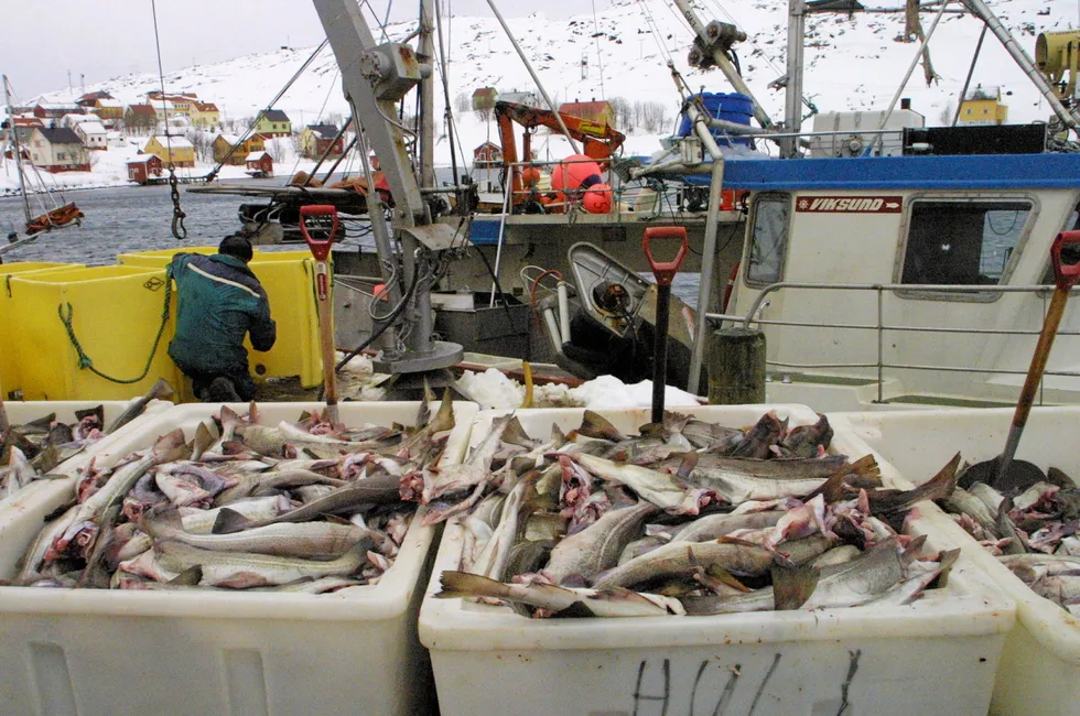 I snitt forsvant vel 65-70 prosent av flåten i prosessen, i enkelt segmenter, som auto line, forsvant vel rundt 80 prosent av flåten. Behovet for fiskere ble tilsvarende redusert, skriver Trygve Rikkart Nilsen i dette innlegget.