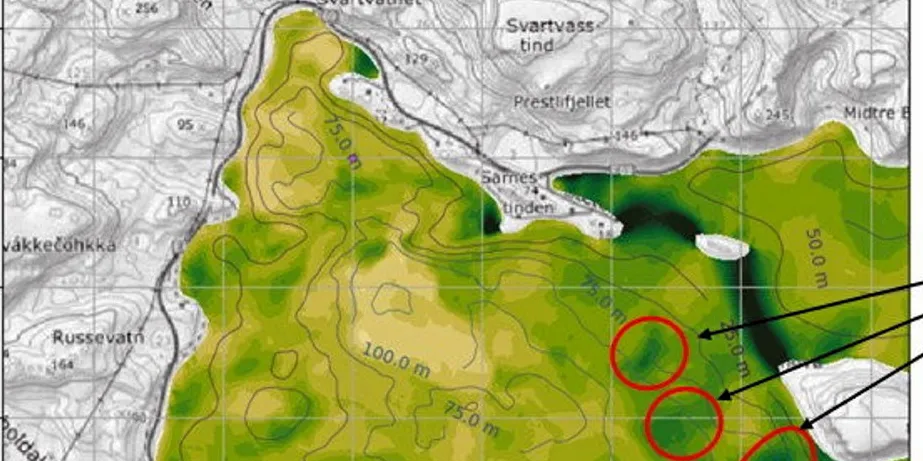 De tre ringene på illustrasjonen viser områder med god bunnstrøm og dyp i et område for oppdrettslokaliteter.