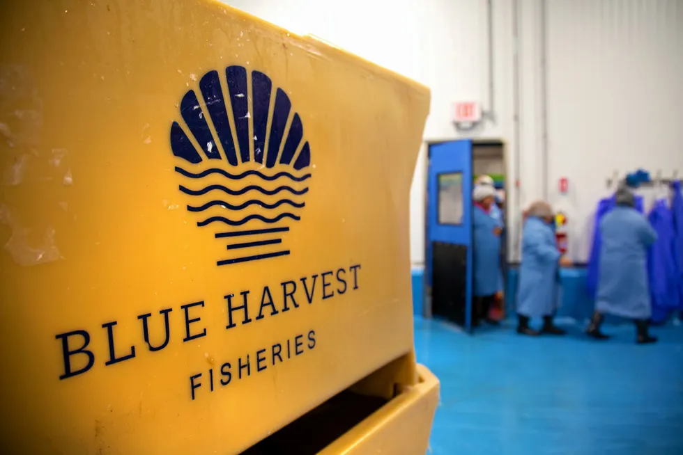 Assets of the once high-flying seafood processor blue harvest are now headed for auction.