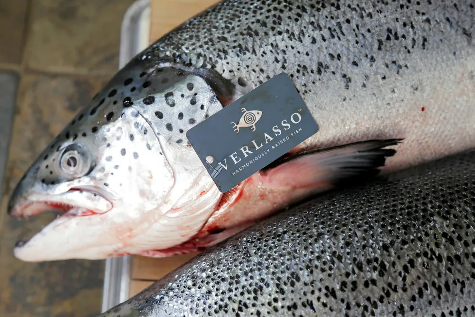 In the fall of 2013, the Verlasso brand of salmon became the first ocean-farmed salmon to make the Seafood Watch program's "yellow list" as a good alternative.