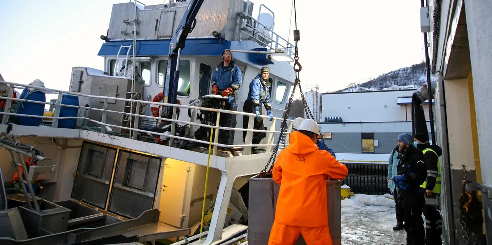 Rørvik-båten "Aud Williksen" under levering av fangst til Myre fiskemottak onsdag. Etterpå fikk de reaksjon på at de flyttet båten til andre side av havna før sluttseddelen var skrevet.