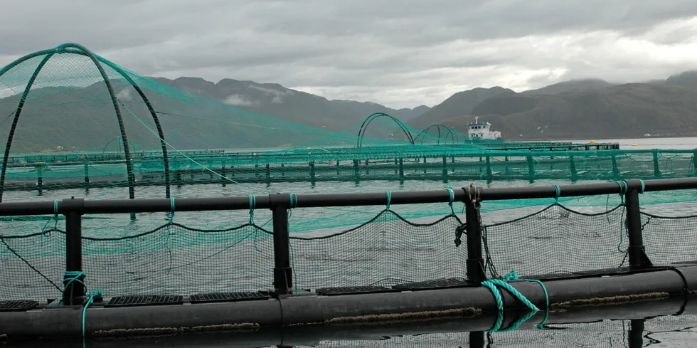 Illustrasjonsfoto: En av Grieg Seafood Finnmark sine lokaliteter