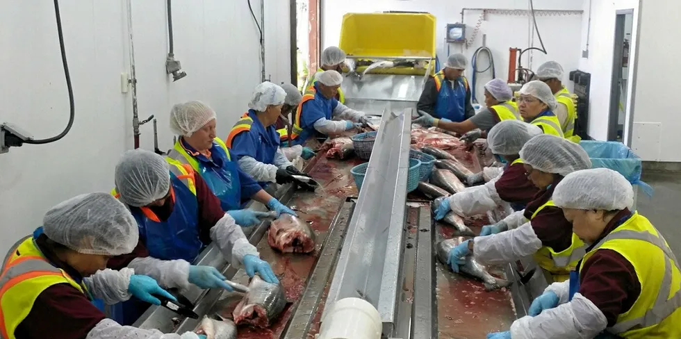 BC-based custom fish processing company Keltic Seafoods provides services to seafood buyers, and is now a part of Pacific Seafood.