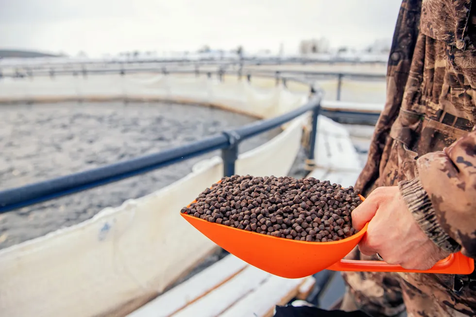 A lack of high-quality feed for Atlantic farmed salmon is limiting the development of Russian aquaculture, a leading industry consultant said.