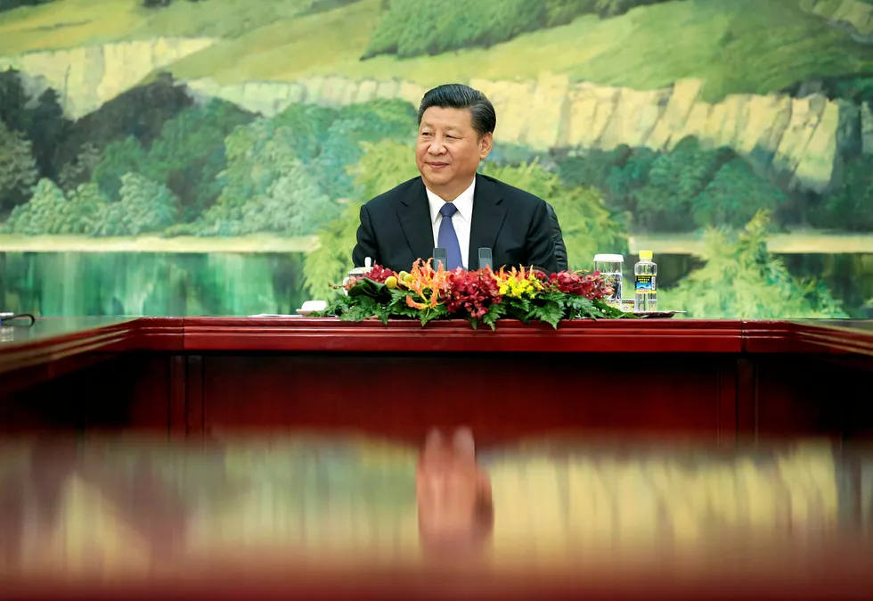 Government action: China's President Xi Jinping