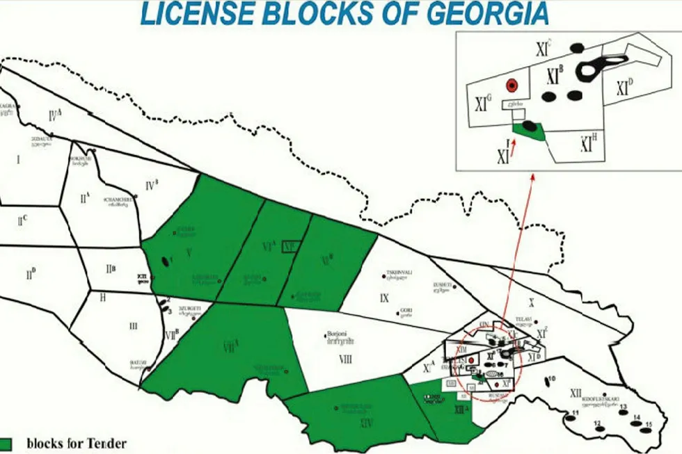 Georgia offers acreage in new tender