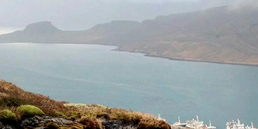 ISLAND: Fem norske ringnotfartøy som har vært utestengt fra fiske i islands økonomiske sone, får nå adgang igjen.