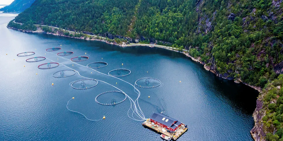 Costs are on the rise for Norwegian salmon farms, according to new report.