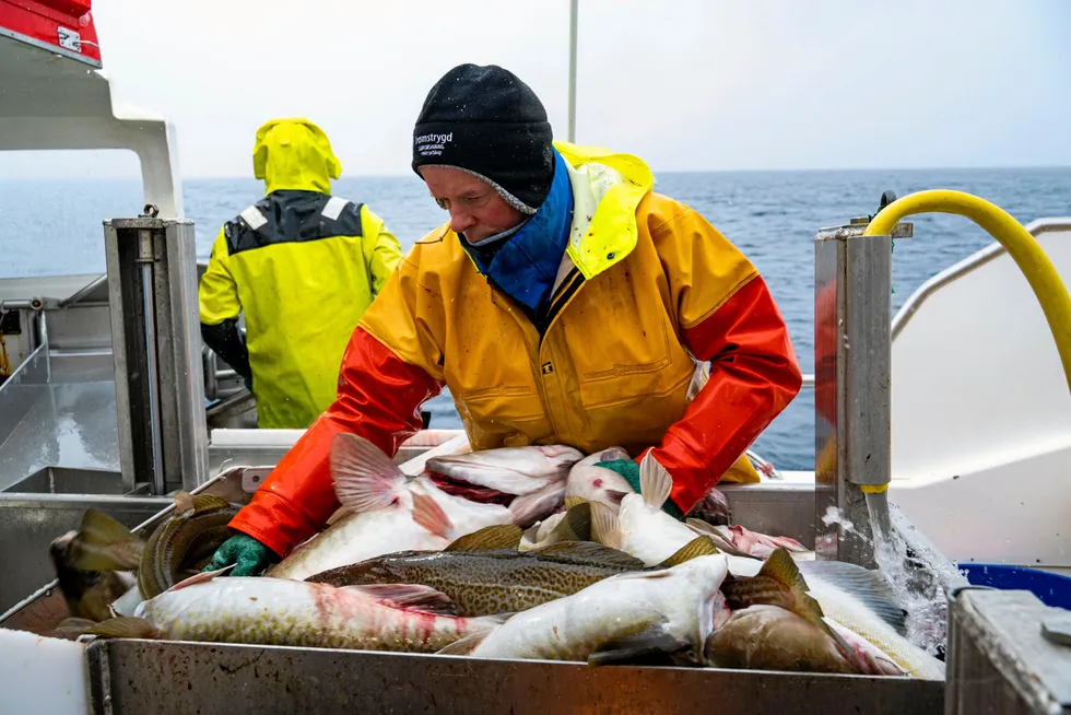 Fiskeridirektoratet har lagt frem sitt forslag til torskeregulering for 2025.