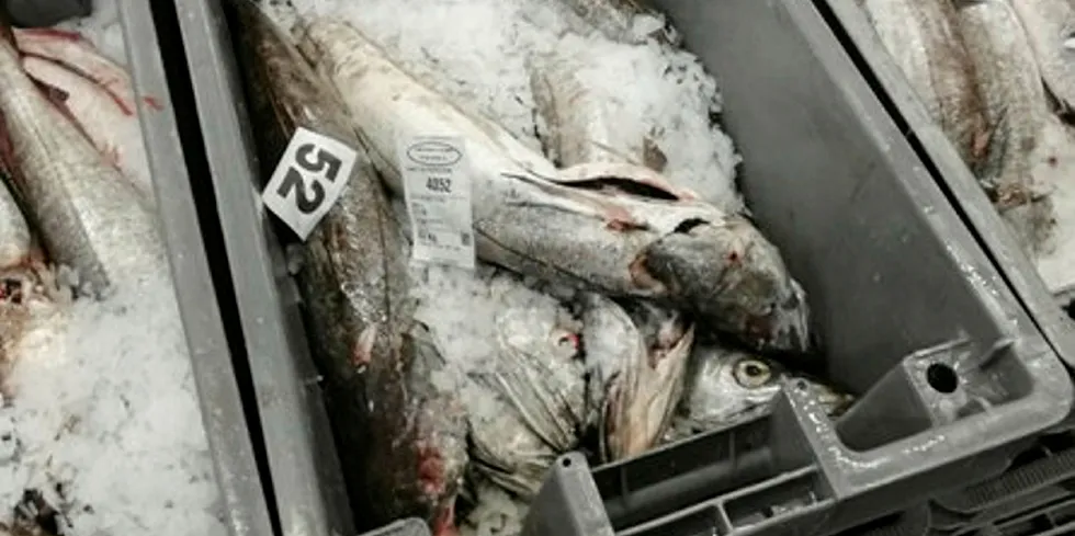 The French seafood sector is calling for urgent help.