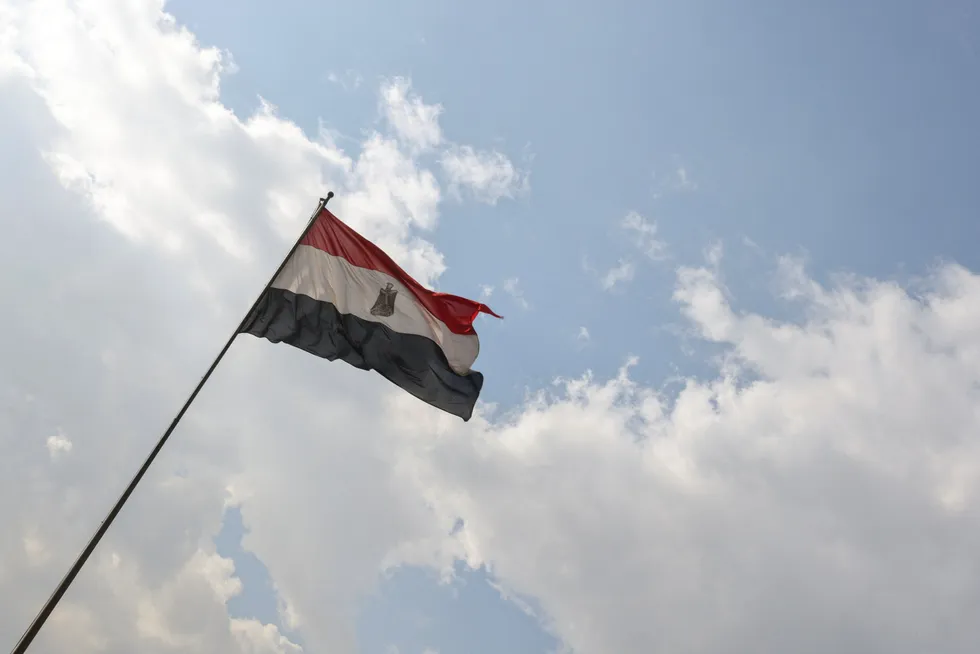 Dismissed: An Egyptian flag flutters in Cairo, Egypt.