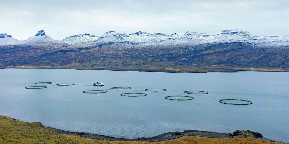 Ice Fish Farm driver lakseoppdrett på østkysten av Island.