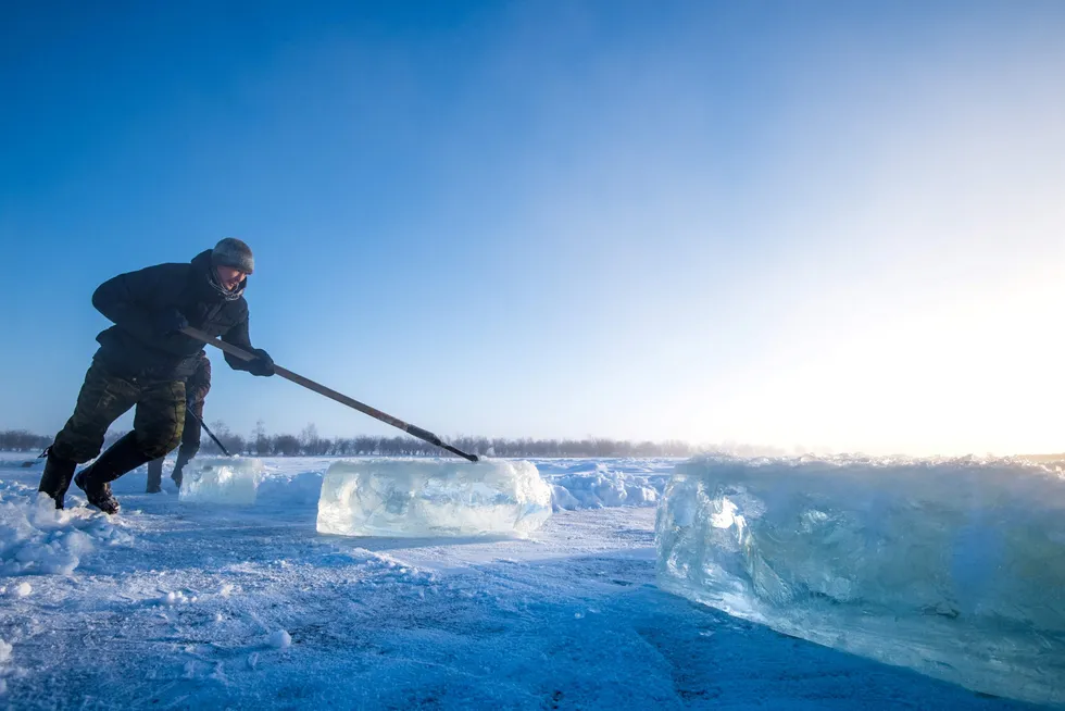 Frozen riches: Villagers harvest ice blocks to produce melted water from a lake near the settlement of Oy in the Yakutia region of East Siberia