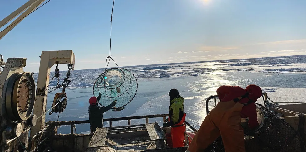 Snøkrabbefisket er kapitalkrevende og næringer trenger forutsigbarhet, skriver Monica Langeland. Bildet viser snøkrabbefiske på «Arctic Opilio» i Barentshavet.