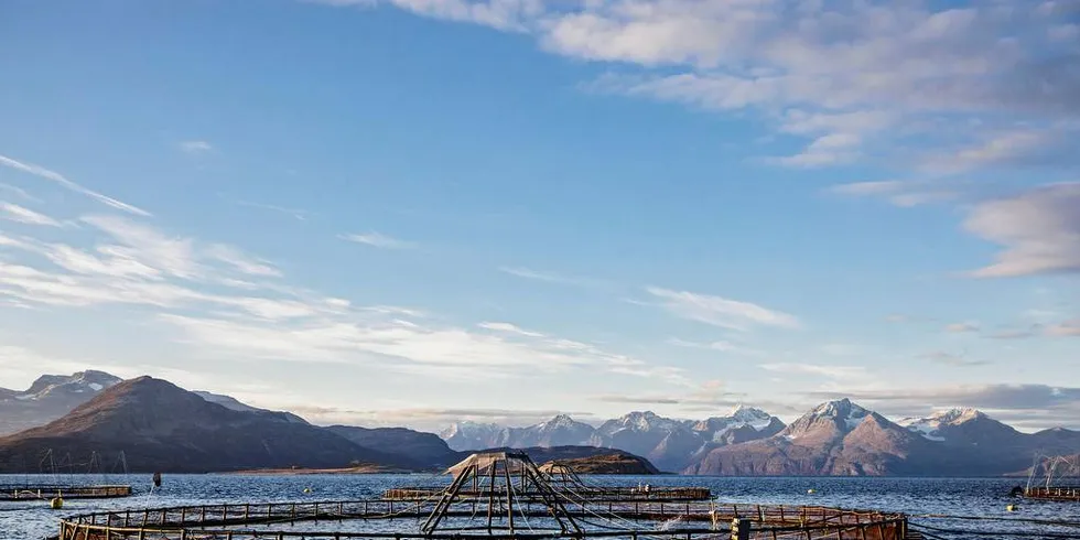 OPPDRETT: Det ferske forslaget til endring i akvakulturloven gir ikke effektive rettssikkerhetsordninger for dem som rammes av produksjonsreduksjoner, mener dagens skribent.Arkivfoto: Per Thrana