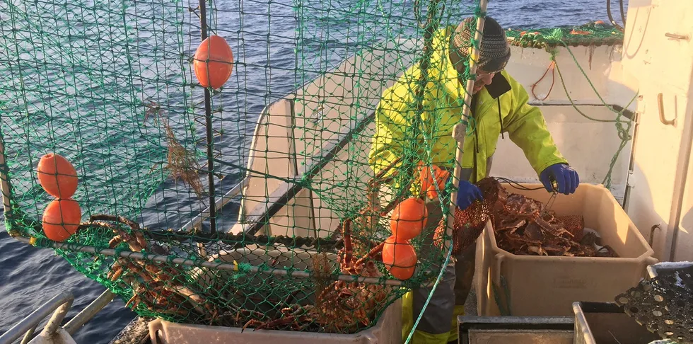 Krav om dokumentert aktivitet i annet fiske kan være et alternativ til omsetingskrav i annet fiske for å få delta i kongekrabbefiske. Erling Haugan (bildet) i Rantind AS tester nye kongekrabbeteiner.