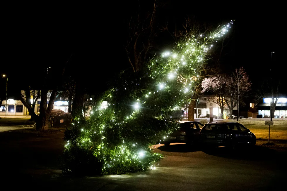 Ekstremværet Urd ga juletreet på Karlshus i Råde en kraftig slagside. Foto: Jon Olav Nesvold/NTB Scanpix