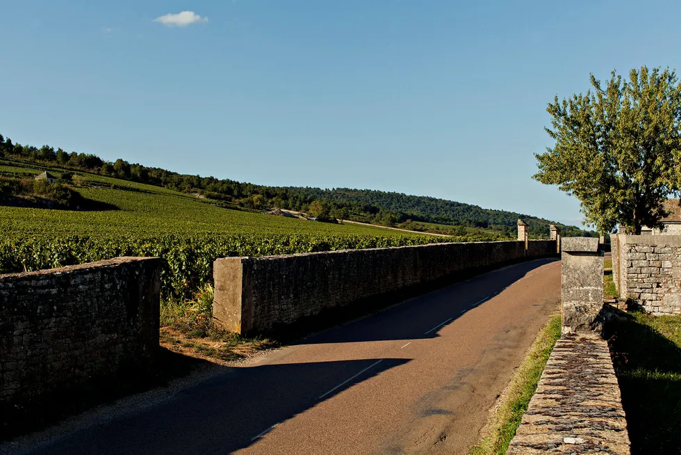 Med vinmarken Montrachet på oversiden og Bâtard-Montrachet på nedsiden er dette kanskje den mest kostbare veien i verden.