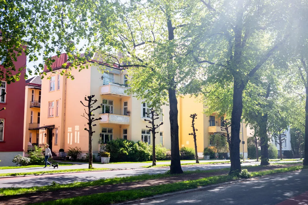 Det er seks leiligheter i denne bygården i Gyldenløves gate 33 på Frogner i Oslo. To av dem eies fra det som regnes som et av verdens mest lukkede skatteparadiser: De britiske jomfruøyer.
