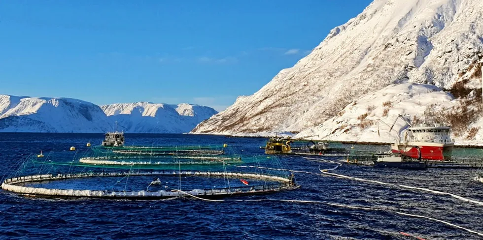 Bilde av Davatluft tilhørende Grieg Seafood.