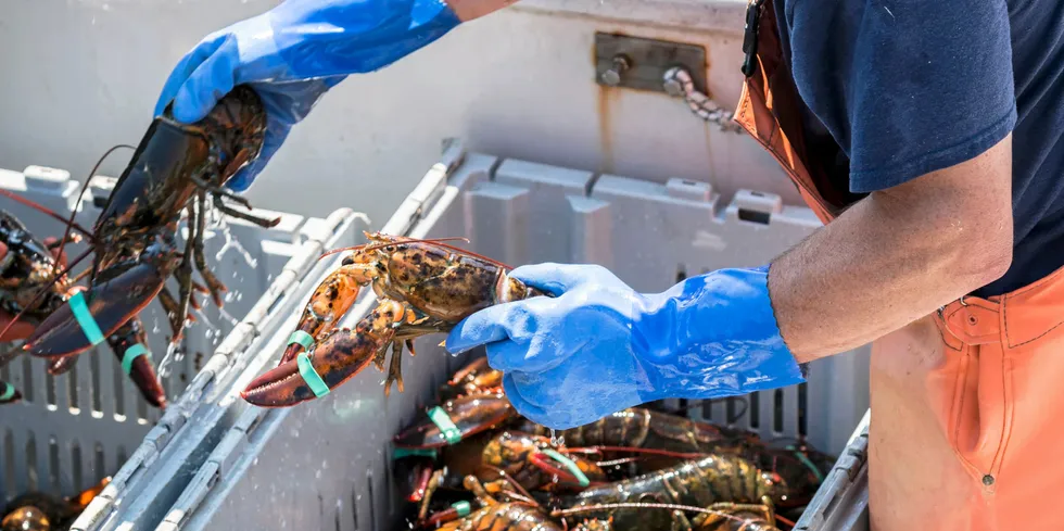 Maine lobster organizations have filed a lawsuit to have Monterey Bay remove its downgraded sustainability rating for Maine lobster from its website.