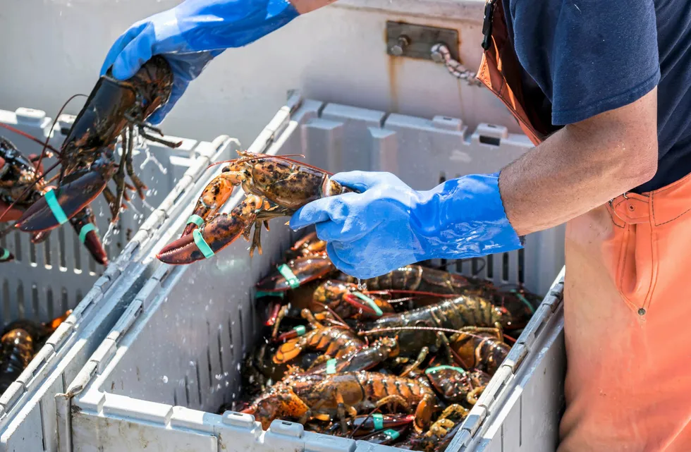 Maine lobster organizations have filed a lawsuit to have Monterey Bay remove its downgraded sustainability rating for Maine lobster from its website.