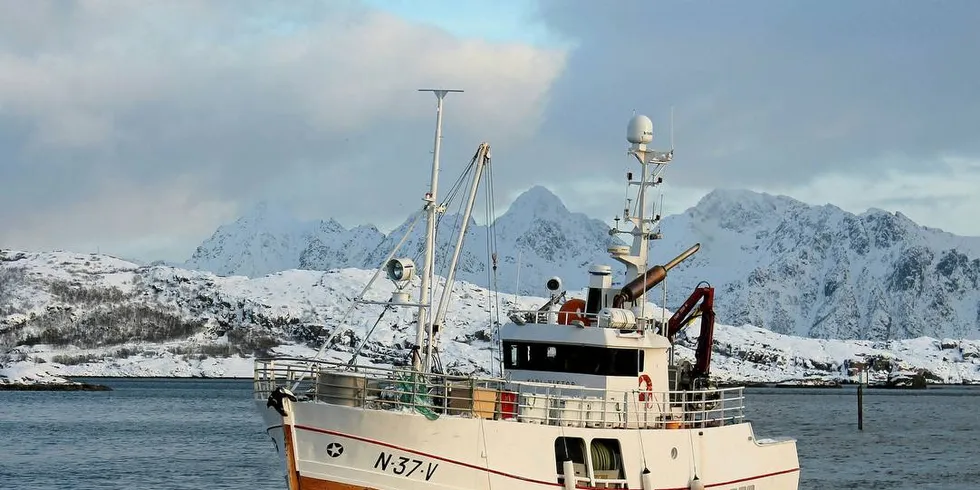 MISTER TORSK? «Karl-Viktor» fra Lofoten er en av båtene i fartøygruppen mellom 15 og 21 meter. Foto: Frode Adolfsen