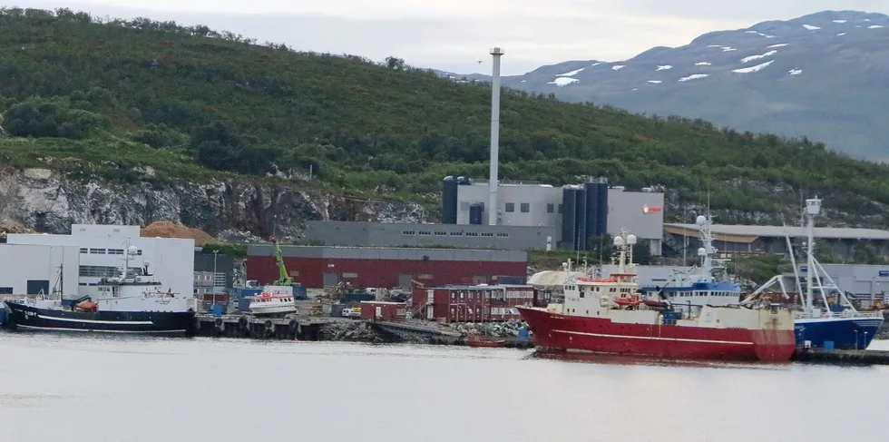 Fiskeridirektoratet har sett på eierskapet for flere snøkrabbebåter i Tromsø. På bildet ligger «Arctic Pioner» (til venstre) og «Arctic Opilio» sammen med «Lance» til kai i Tromsø.