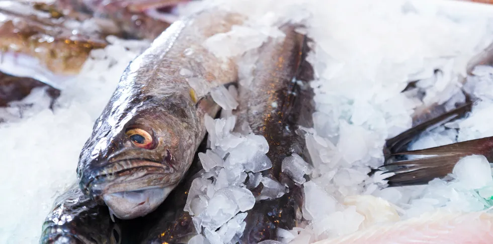 Hoki is amongst the species impacted by a ban by the US government on some New Zealand seafood imports.
