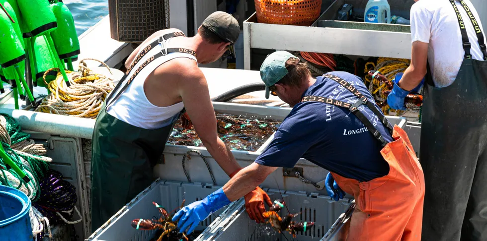 The ruling means Gulf of Maine lobster will not be eligible to be sold as MSC-certified or carry the MSC eco-label after Dec. 15.