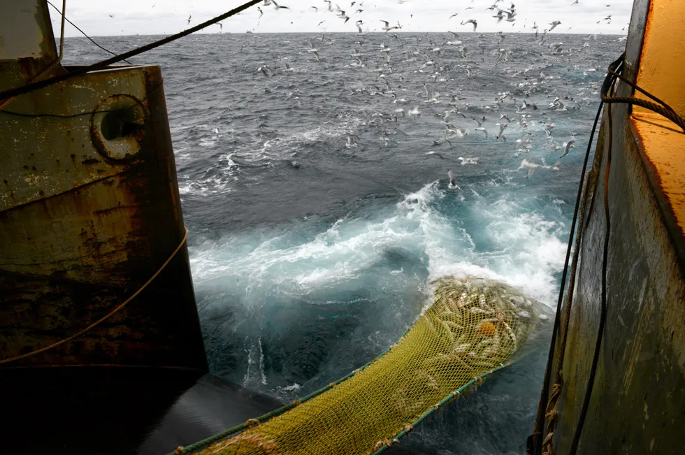 Forsuringen av sjøvannet grunnet bunntråling har fått dramatiske konsekvenser, mener Fiske- og Kystalliansen. Bildet viser torsketrål.