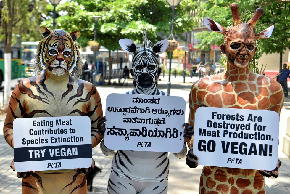 Making a stand: a PETA protest earlier this year