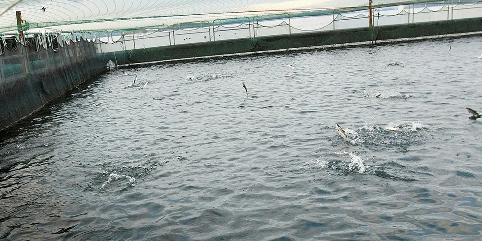 Grieg Seafoods oppdrettsanlegg Teistholmen i Sandnes kommune.