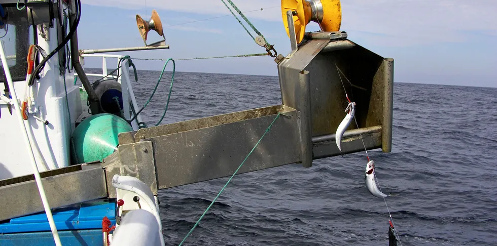 De fleste i kystflåten har hatt en kjempegod makrellsesong i år. De pelagiske rådene for makrellfiskerne er gode også for neste år. Det ligger an til samme inntekter som i år for pelagiske fiskere totalt sett, selv om de som har mye sild i bagasjen vil merke en nedtur.