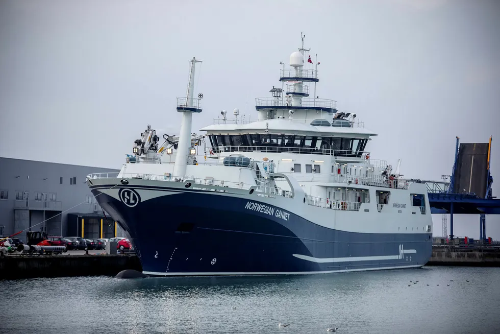 Hav Line kjemper mot norske myndigheter for å få lov til å frakte norsk laks til Danmark for foredling.