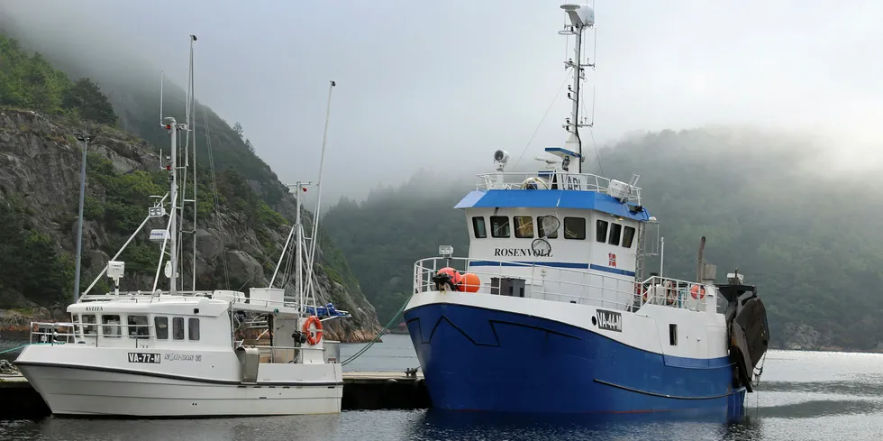 GODT HØSTFISKE: Mandal-båten «Rosenvoll» landet en rekefangst på over 1150 kilo, derav 627 kilo kokt, til Fiskelaget på Gismerøya tirsdag.