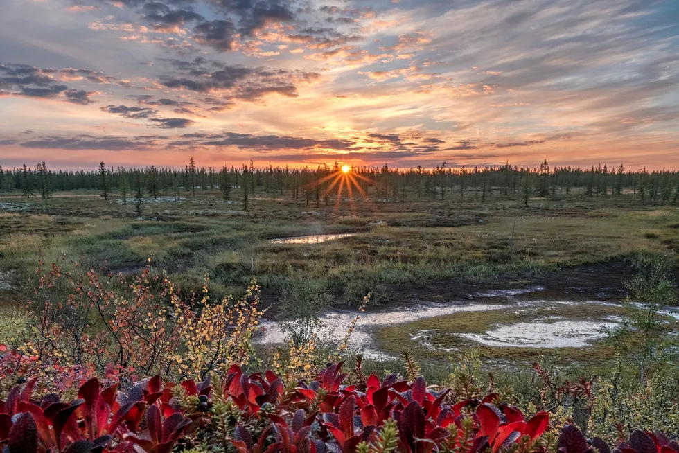 Remote riches: Yamal Peninsula in the Yamal-Nenets region in Russia