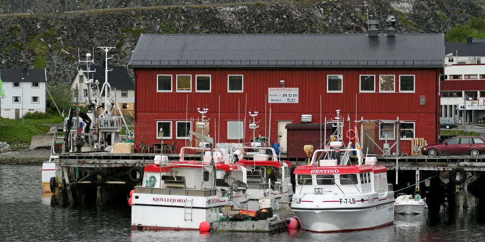 TURSITFISKE MED ØRnTIND I KJØLLEFJORD (Stiptind og vårliner) Wolfgang Kalmring beundrer de storslåtte fjellformasjonene i Kjøllefjorden. Finnkirka i bakgrunnen. Foto: Bjørn Tore Forberg