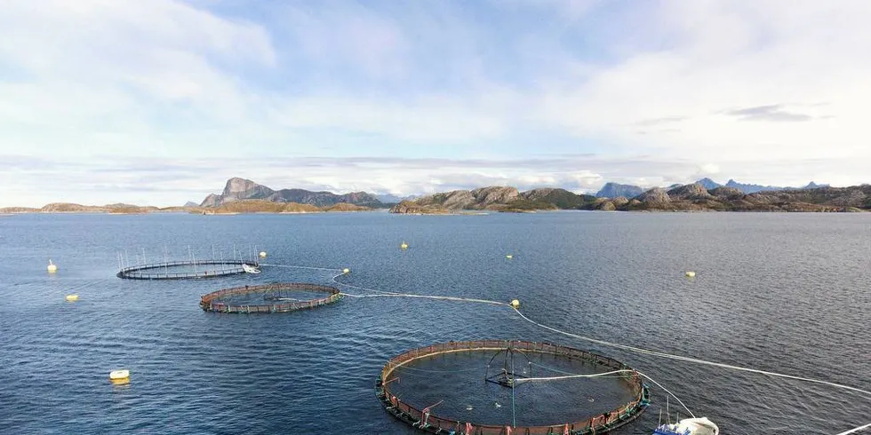 SIER JA: Skatt på grunnrente i havbruk og fiskeri er til det norske fellesskapets beste, skriver professor Claire Armstrong i denne kommentaren.Foto: Selsøyvik Havbruk