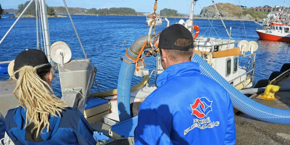 BEDRE KONTROLL: Kontrollinnsatsen mot fiskekrim må intensiveres og bedres, slik det kommer frem i en ny Nofima-rapport.Foto: Nils Torsvik/Fiskeribladet