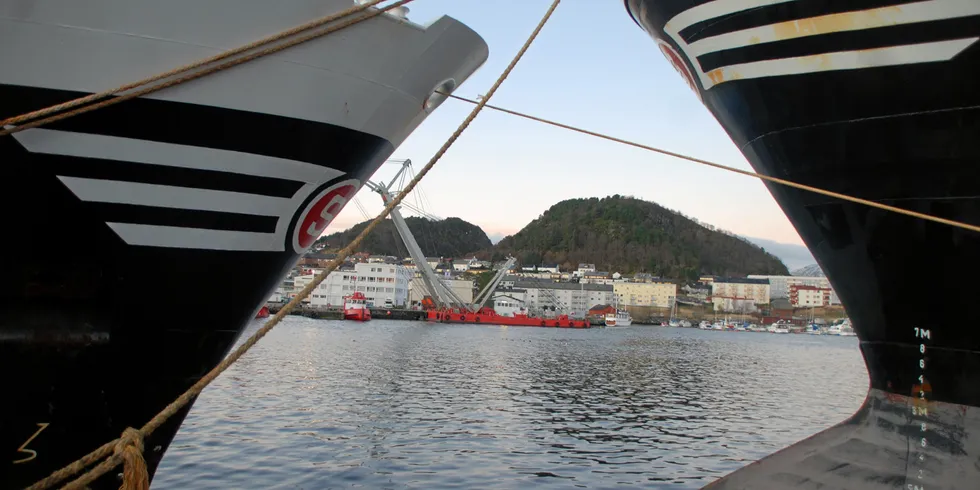 Et nytt fiskeriselskap er startet i Ålesund.