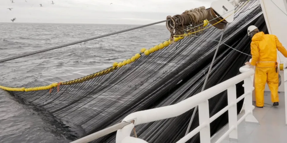 Fiskeridirektoratet har fastsatt en midlertidig åpning for fisket etter makrell innenfor fjordlinjene, melder Fiskebåt.