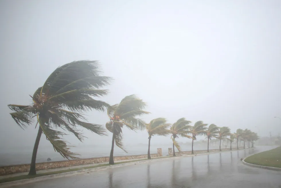 Den tropiske stormen Irma herjer her Cuba og er ventet å nå Florida søndag. Så langt er minst 24 mennesker omkommet og det er ødeleggelser for flere titall milliarder kroner. Foto: Alexandre Meneghini/Reuters/NTB Scanpix
