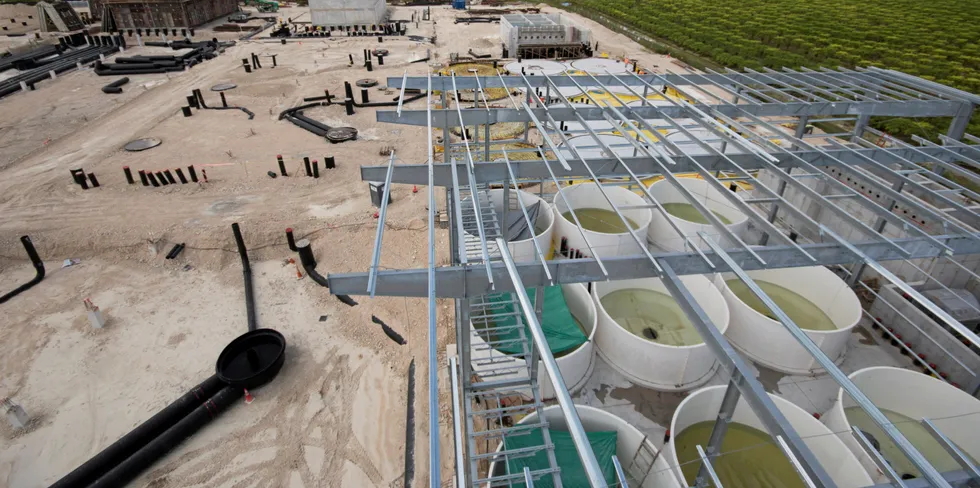 September 2018, da fase 1 i Florida var under bygging med Billund Aquaculture som leverandør.