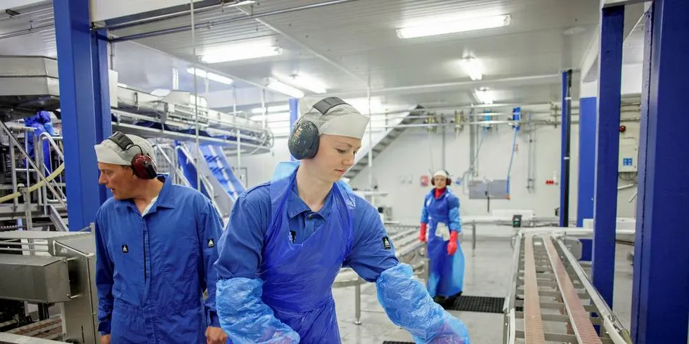 NYTT NAVN: Marine Harvest endrer navn til Mowi. Her er produksjonsleder Tom Leirvik, forbedringskoordinator Elise Dalen og driftstekniker Ronny Jensen i gang med dagen i anlegget på Herøy. Foto: Javad Parsa