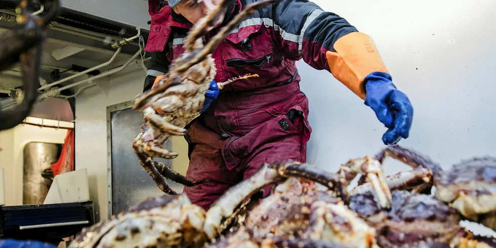 Nesseby Ap frykter konsekvensene av at fiskerne i Vest-Finnmark når får ta del i kongekrabbefisket i Øst-Finnmark.